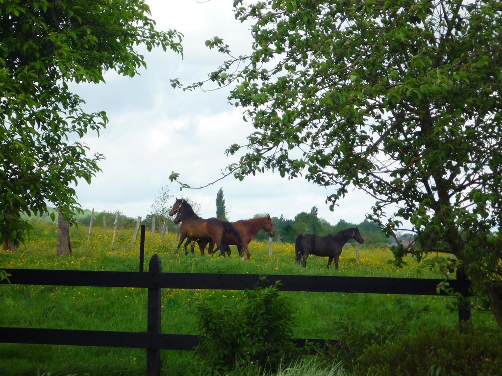 Au Mesnil Le Bas Bray Bed & Breakfast Bures-en-Bray Eksteriør bilde